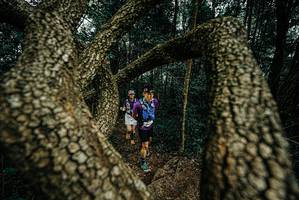 BIB: 
                            <button type="button" onclick="openModal(25704008)" class="btn btn-primary btn-sm float-right btn-popup" data-toggle="modal" data-target=".modal-high-quality">
                        <i class="fas fa-shopping-cart"></i> Add to Cart
                    </button>
                                            <button type="button" onclick="isThisMe(25704008, true)" class="btn btn-success btn-sm float-right btn-popup btn-isme hidden" data-toggle="tooltip" data-placement="bottom" title="นี่คือรูปของคุณใช่ไหม คลิกที่นี่เพื่อเอาเข้าอัลบั้ม">
                        <i class="fas fa-plus"></i> Add to album
                    </button>
                    <button type="button" onclick="isThisMe(25704008, false)" class="btn btn-warning btn-sm float-right btn-popup btn-isnotme hidden">
                        <i class="fas fa-ban"></i> Remove from album
                    </button>